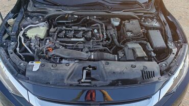 Honda: Honda Civic: 1.5 l | 2016 il Sedan — 20