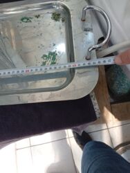 Kəlbətinlər: Kəlbətin, Polad — 7