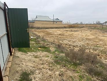 Torpaq sahələrinin satışı: 12 sot, Barter mümkündür -da lalafo.az — 11 Torpaq sahələrinin satışı: 12 sot, Barter mümkündür — 11