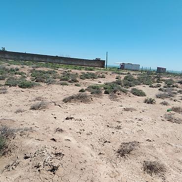 Torpaq sahələrinin satışı: 6 sot — 4