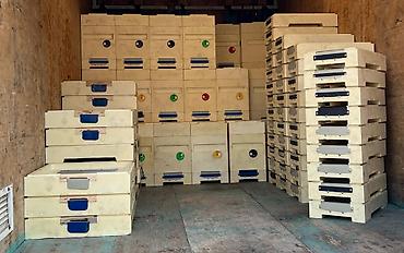 ППУ - пенополиуретан: Полиуретановые ульи для пчеловодства - Материал: литой ППУ — 11