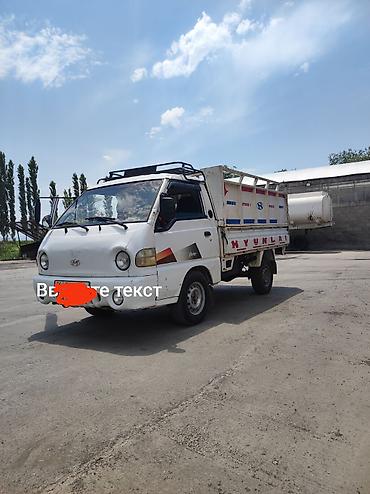 транс: Легкий грузовик, Hyundai, Стандарт, 2 т, Б/у — 2