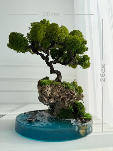 Декоративные цветы: Деревья-бонсай из натурального стабилизированного мха🌳 -это — 46