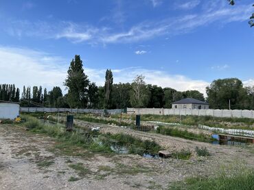 Земельные участки: 16 соток, Красная книга, Тех паспорт, Договор купли-продажи