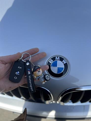 BMW: BMW X5: 2010 г., 3 л, Автомат, Бензин, Кроссовер — 22