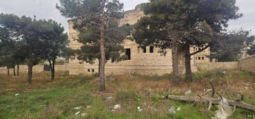 Torpaq sahələrinin satışı: 24 sot, Mülkiyyətçi, Kupça (Çıxarış) -da lalafo.az — 8 Torpaq sahələrinin satışı: 24 sot, Mülkiyyətçi, Kupça (Çıxarış) — 8