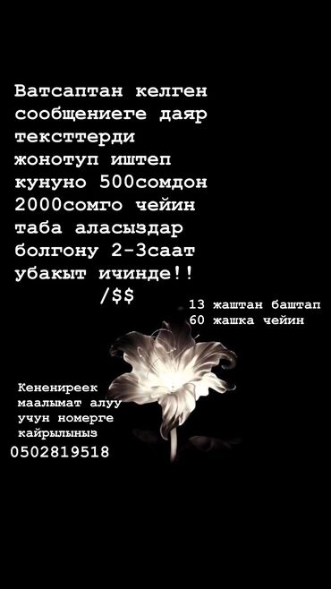 я ищу работу на дому: Онлайн работа