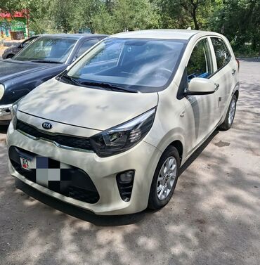 киа морнинг 2019 цена бишкек: Kia Morning: 2019 г., 1 л, Автоматтык, Бензин, Хетчбек