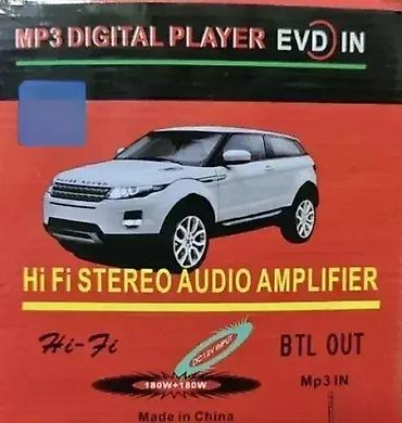 auto kamera: Audio Pojacalo - HiFi Stereo (12V / 220V) Dobrodošli u Davidov shop — 1