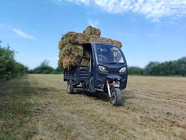 ford fusion service: Ural — 6
