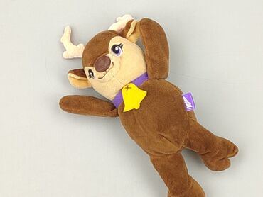 Mascot condition - Perfect