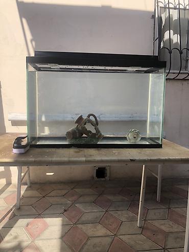 Dördbucaq akvarium, Boş, 110 l lalafo.az -da Dördbucaq akvarium, Boş, 110 l