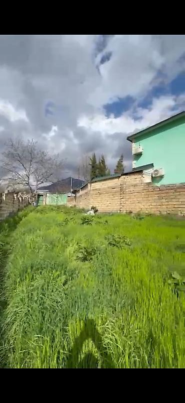 baksol yolu dernegul: 10 sot, Mülkiyyətçi, Kupça (Çıxarış) — 6