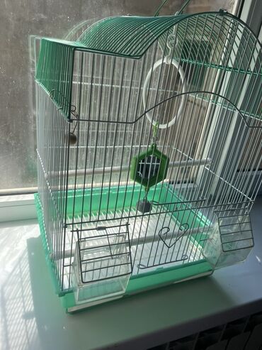 хочу купить кошку: Клетка для птиц с закругленной крышей в мятно-зеленом цвете