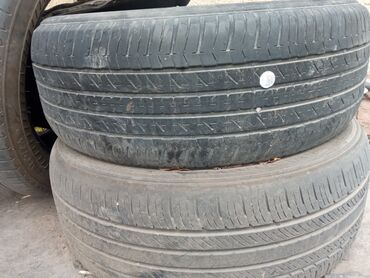 apollon r19: Шиналар 235 / 55 / R 19, All-season, Колдонулган, Комплект, Жеңил унаалар, Bridgestone