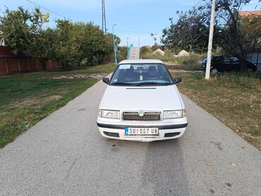 Skoda: Skoda Felicia: 1.9 l | 2000 г. 200000 km Hečbek — 4