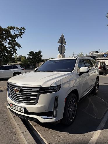 кадилак цена: Cadillac Escalade: 2021 г., 6.2 л, Автомат, Бензин, Седан — 1