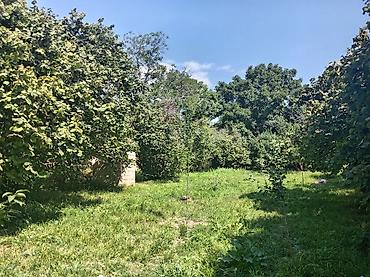 2 otaqlı evlər satış: İsmayilli rayonu Buynuz kendinde Dağ ətəyində yaşıllıqla əhatələnmiş — 3