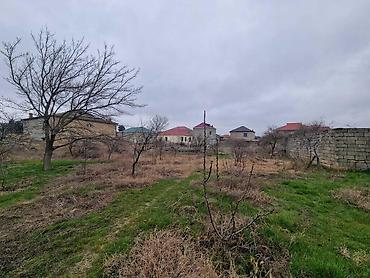16 соток, Для строительства, Купчая at lalafo.az 16 соток, Для строительства, Купчая
