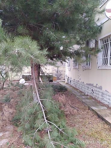 Həyət evləri və villaların satışı: 2 otaqlı, 140 kv. m, Orta təmir — 16