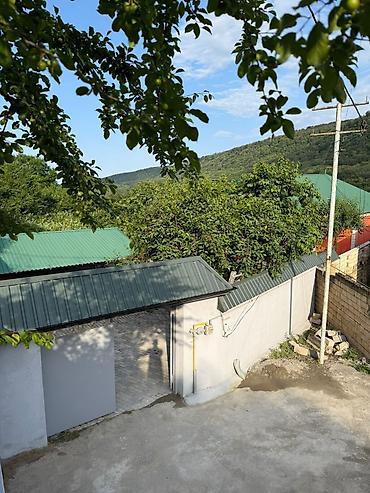 fatmayi kiraye heyet evleri: Günlük bağ evi – dağ mənzərəli, yaşıllıq içində həyət - Geniş daş — 1