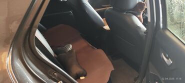 Kia: Kia Stonic: 2019 г., 1.4 л, Автомат, Бензин, Кроссовер — 9