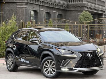 Lexus: Lexus NX: 2019 г., 2 л, Автомат, Бензин, Кроссовер