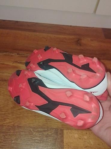 Kopačke: Adidas Predator kopačke za travu - Model: Predator (serija s — 5