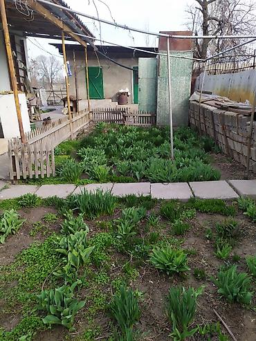 Продажа коттеджей и домов: Продаётся жилой дом с земельным участком. Основные характеристики: - — 5