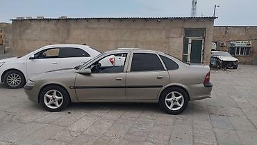 opel oturacaqlar: Opel Vectra: 1.6 l | 1996 il 384565 km Sedan — 4