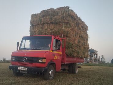 купить грузовой автомобиль с манипулятором бу: Жеңил жүк ташуучу унаа, Mercedes-Benz, Стандарт, 3 т, Колдонулган