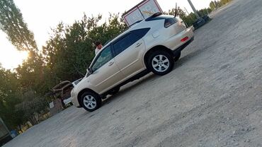 Lexus: Lexus RX: 2006 г., 3.5 л, Автомат, Бензин