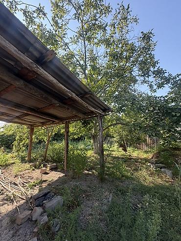 Torpaq sahələrinin satışı: 25 sot, Tikinti, Mülkiyyətçi, Kupça (Çıxarış) — 25