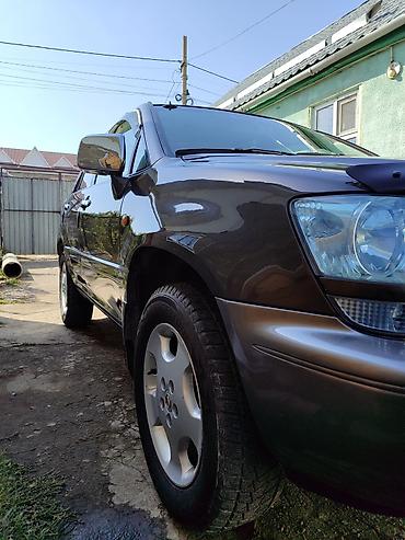 Lexus: Lexus RX: 2002 г., 3 л, Автомат, Внедорожник — 3