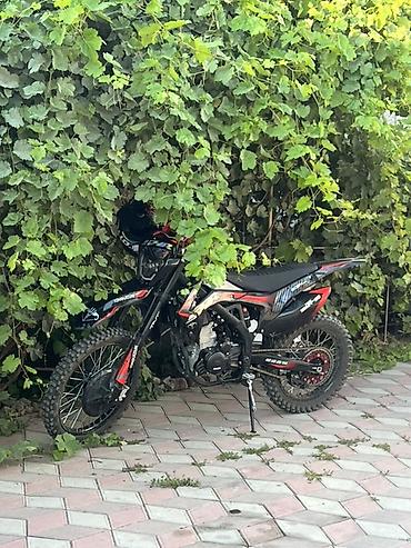 трейллер: Эндуро Honda, 300 куб. см, Бензин, Взрослый, Б/у — 3