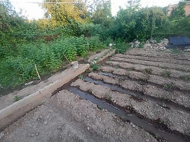 Продажа коттеджей и домов: Продаётся дом с участком. Кызыл китеп бар. жер 6сот. Уй 4 болмолуу at lalafo.kg — 4 Продажа коттеджей и домов: Продаётся дом с участком. Кызыл китеп бар. жер 6сот. Уй 4 болмолуу — 4