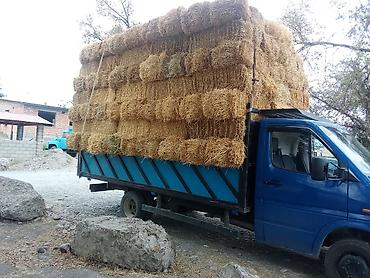 гарила: Грузовой автомобиль Mercedes-Benz Sprinter — бортовой длина козова — 2