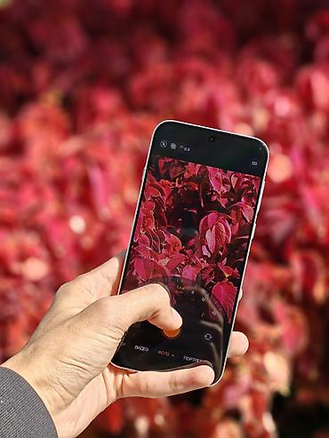 x8: Oppo Find X8, Новый, 256 ГБ, цвет - Белый, 1 SIM, 2 SIM — 10