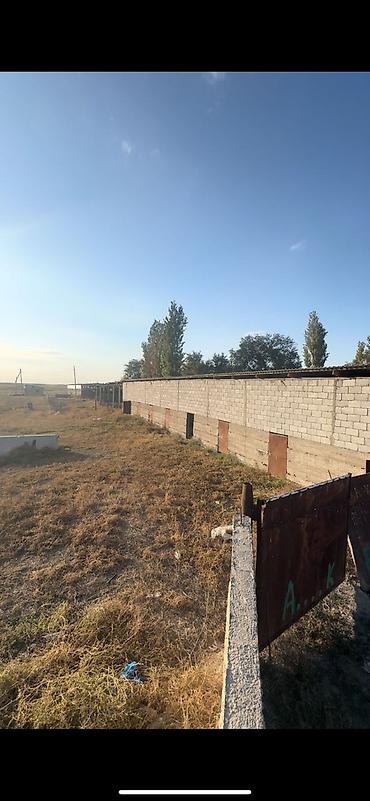 оптовый товар: Farm КРС, 97 соток, Действующий, Частично с оборудованием, Электричество, Скважина — 6