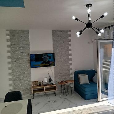 selidbe kuca: Golden star Studio apartman- Planirate savršen beg u prirodu, ali ne — 3