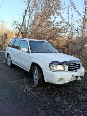 машина сена: Subaru Forester: 2 л, Автомат, Бензин, Универсал