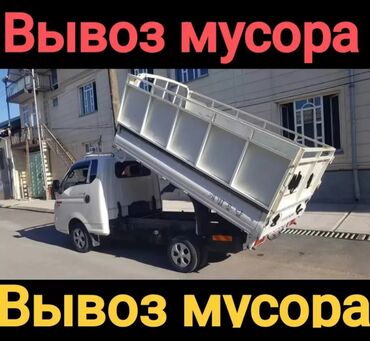 сирийский хомяк купить: Портер такси 🚚🗑️Портер такси 🚚🗑️ Портер такси 🚚🗑️Портер такси 🚚🗑️