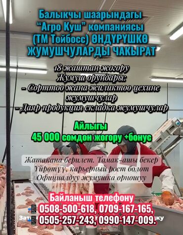 разнорабочих: Требуется Разнорабочий на производство, Оплата Сдельная, Без опыта