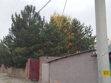 столик для ноутбука: Продаются сосна 4 шт,(САМОВЫВОЗ) сейчасосень как раз время для