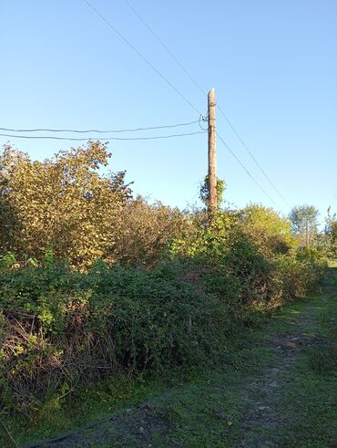 Torpaq sahələrinin satışı: Tikinti — 3