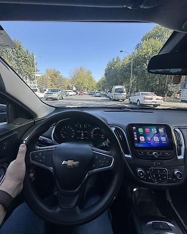 шевралеь: Chevrolet Malibu: 2022 г., 1.5 л, Автомат, Бензин, Седан — 6