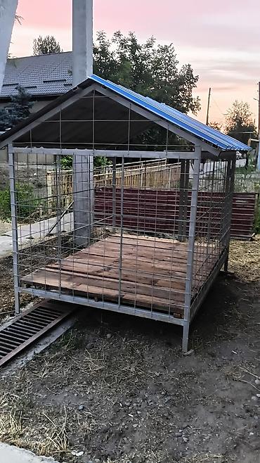Металлические заборы: Продаю собачий вольер . Размеры: ​Ширина: 157 см ​Длина — 7
