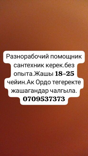 помошник электрика: Требуется Разнорабочий, Оплата Каждые 10 дней, Без опыта