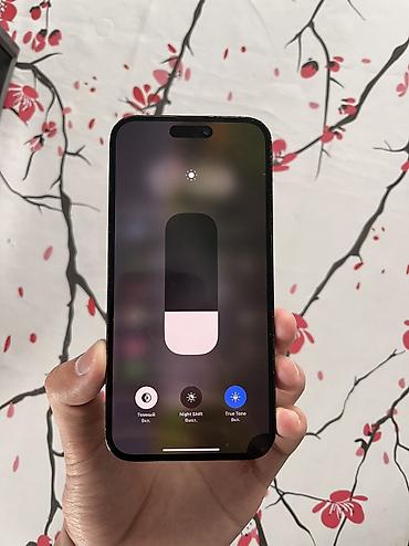 Apple iPhone: IPhone 14 Pro Max, 256 ГБ, 79 % — 3