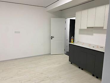 5: 1 комната, 28 м², Элитка, 2 этаж, Евроремонт — 4